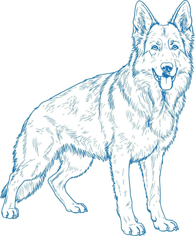 Simple Minimal German Shepherd Line Art Dog Icon vector