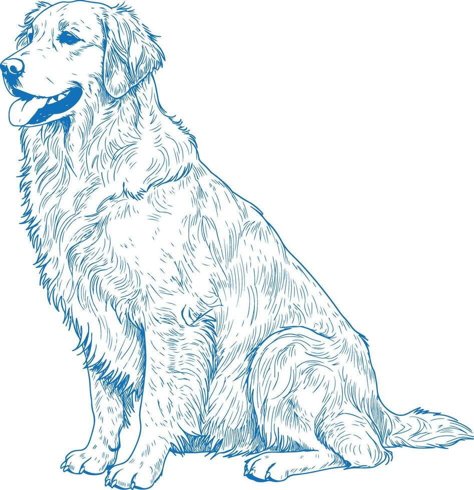 Simple Hand Drawn Golden Retriever Art Line Sketch Dog vector