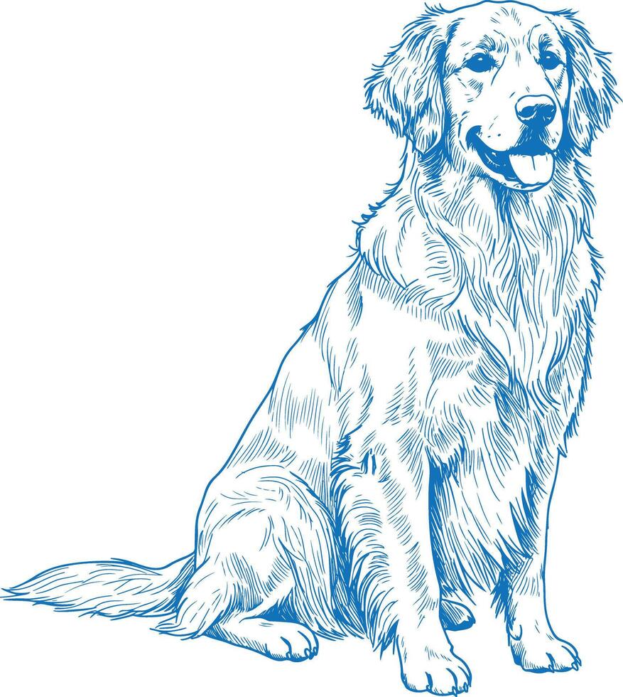 Clean Minimal Golden Retriever vector