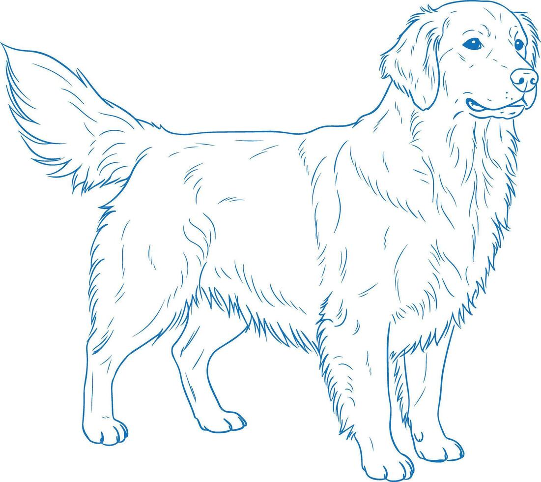 Modern Minimal Golden Retriever Art vector