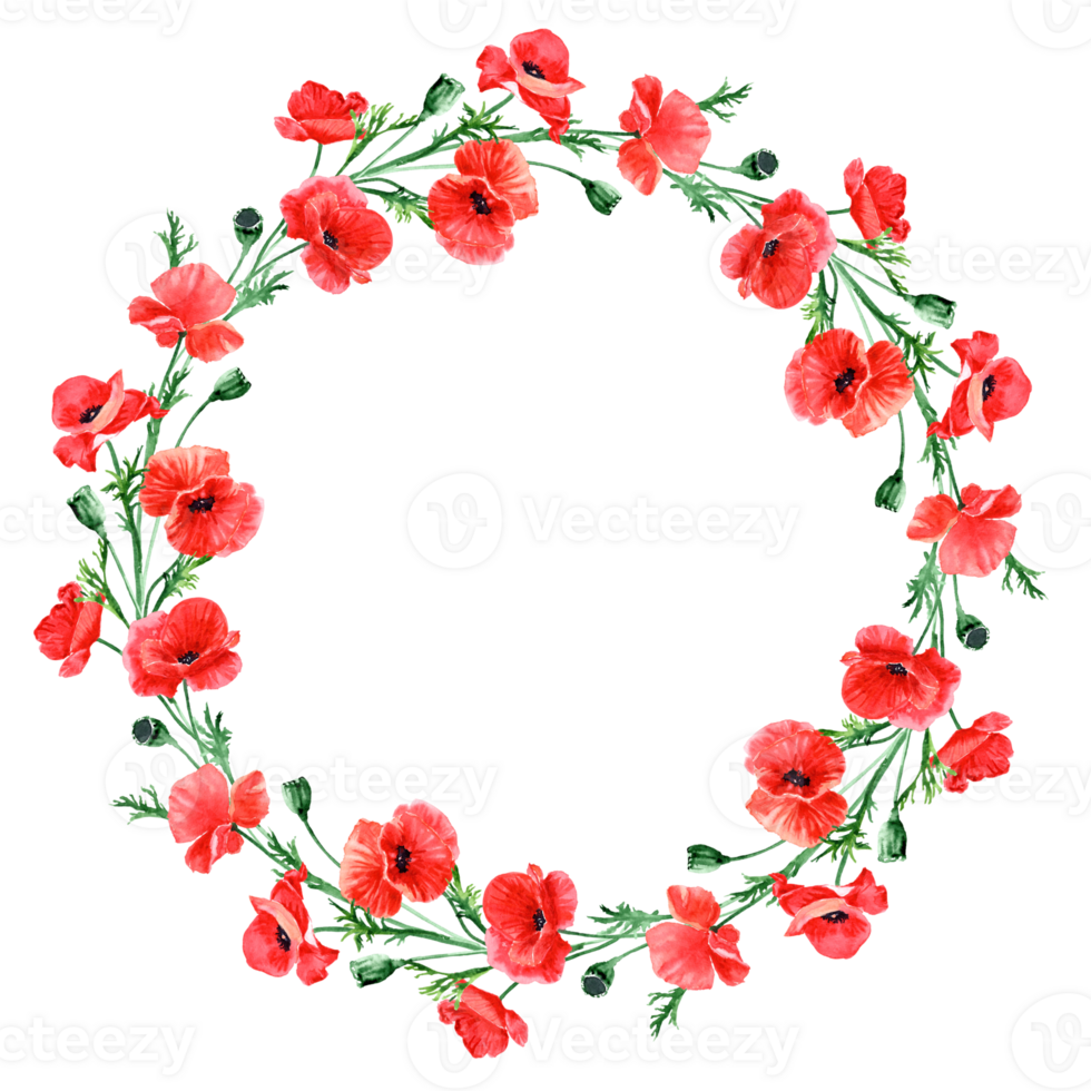 Light gentle vignette with red poppies png