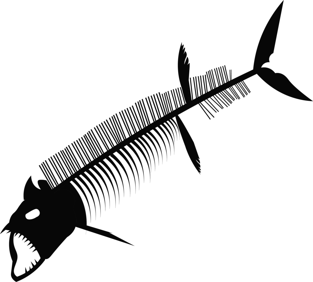 Xiphactinus Fossil Skeleton png