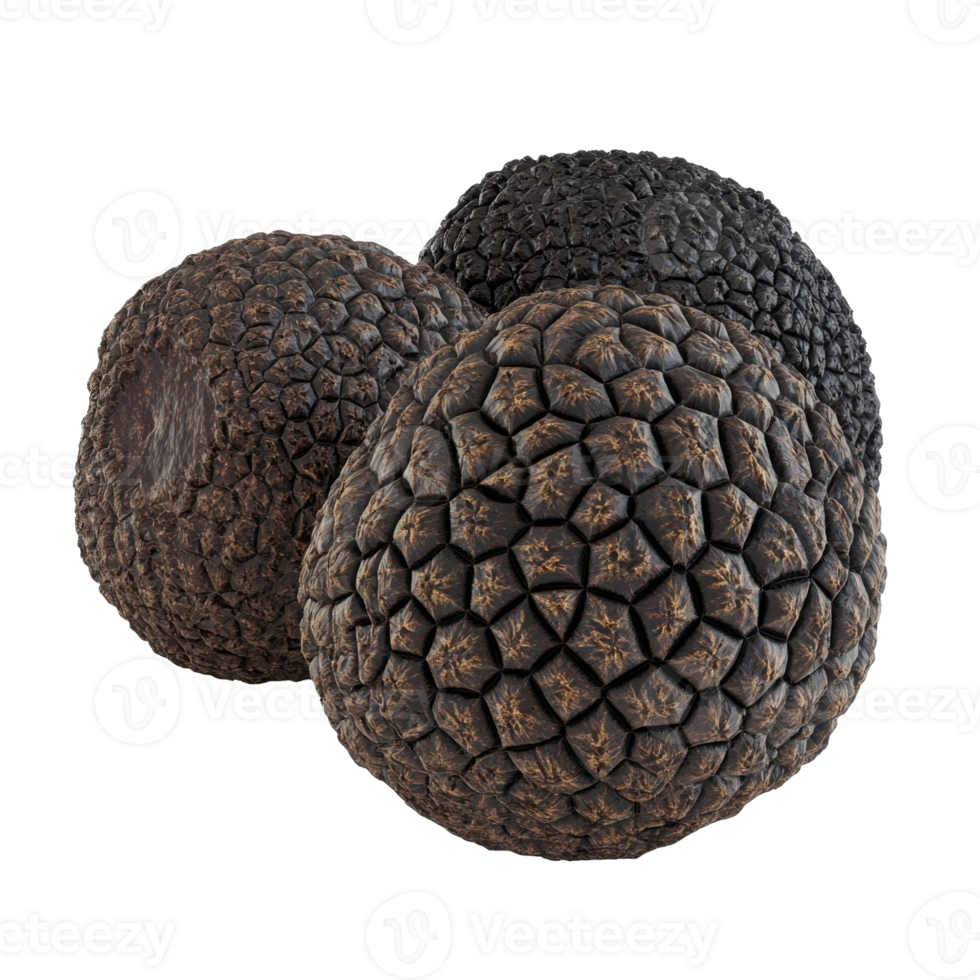premium black truffle png