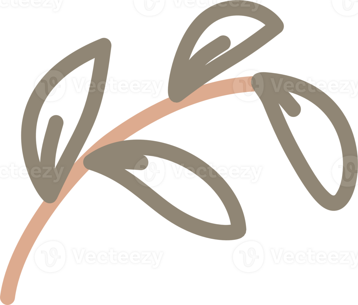 Leaves line doodle png
