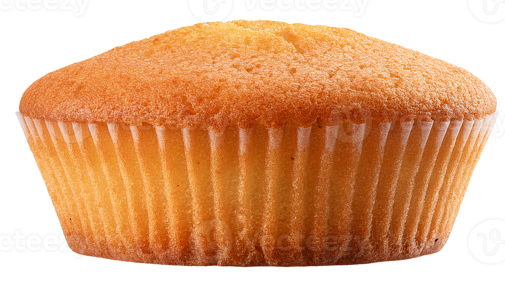 front view of classic vanilla cupcake with golden top and soft fluffy sponge texture in paper liner on isolated background png