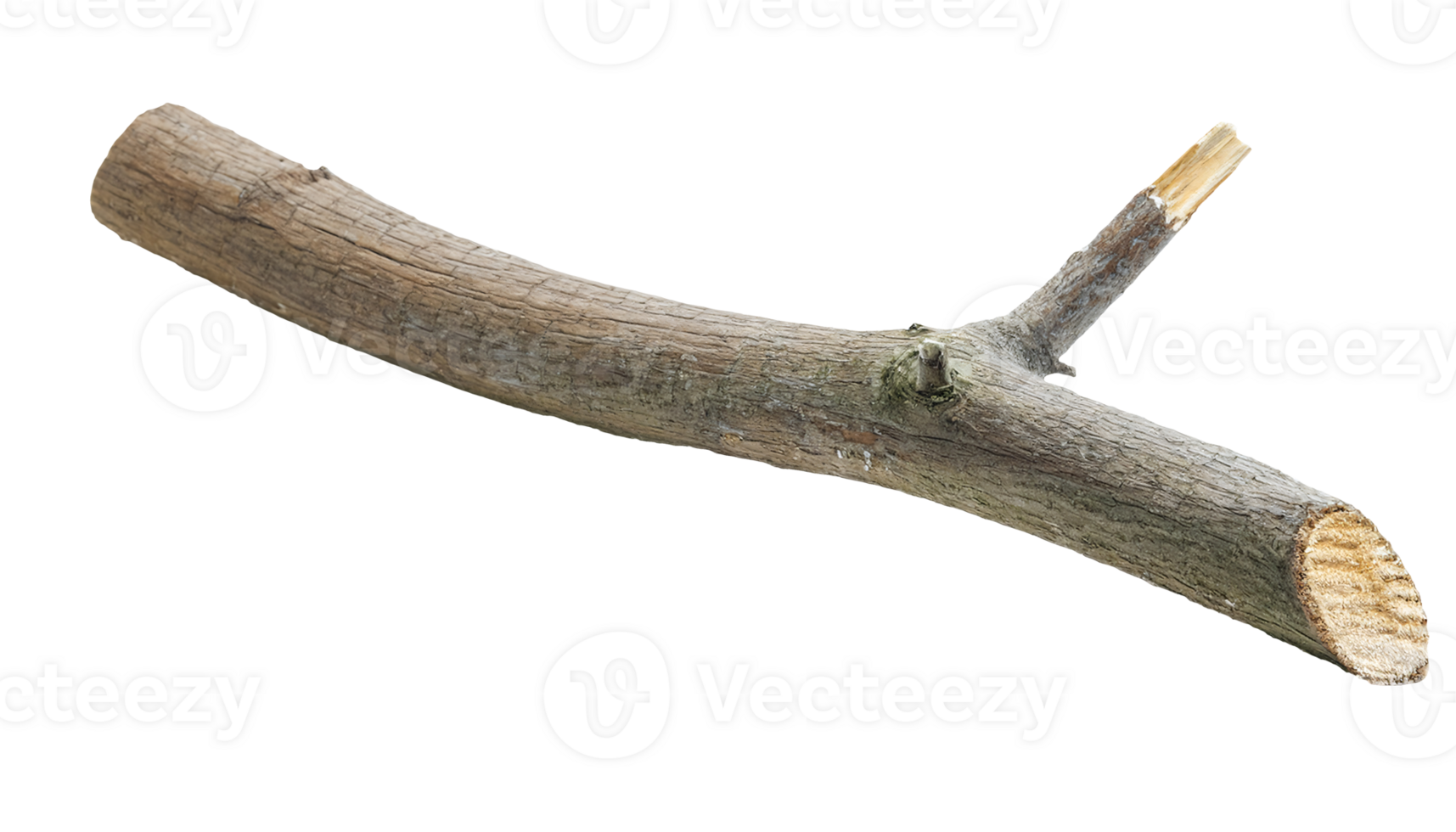 rough wooden broken tree branch with visible bark texture and sharp cut end, rustic nature element on isolated background png