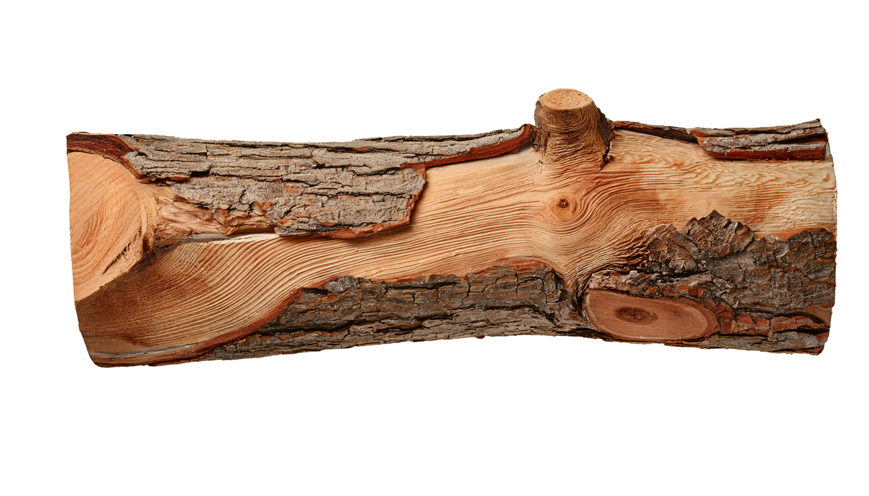 detailed close-up top view of natural raw firewood log with exposed bark and wood grain on isolated background png