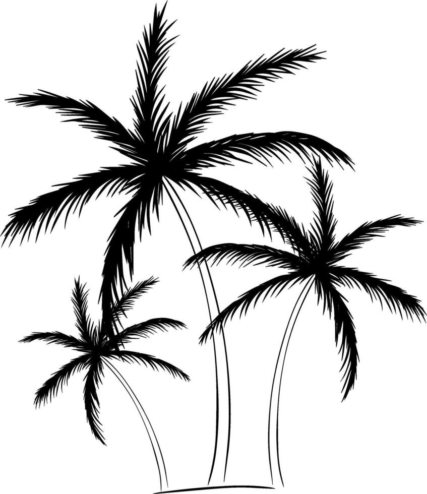 Tree Tropical palm tree silhouette. Graphic line ink composition. For vacation poster, beach party invitation, backdrop, ad, sale promotion, print for t-shirt vector