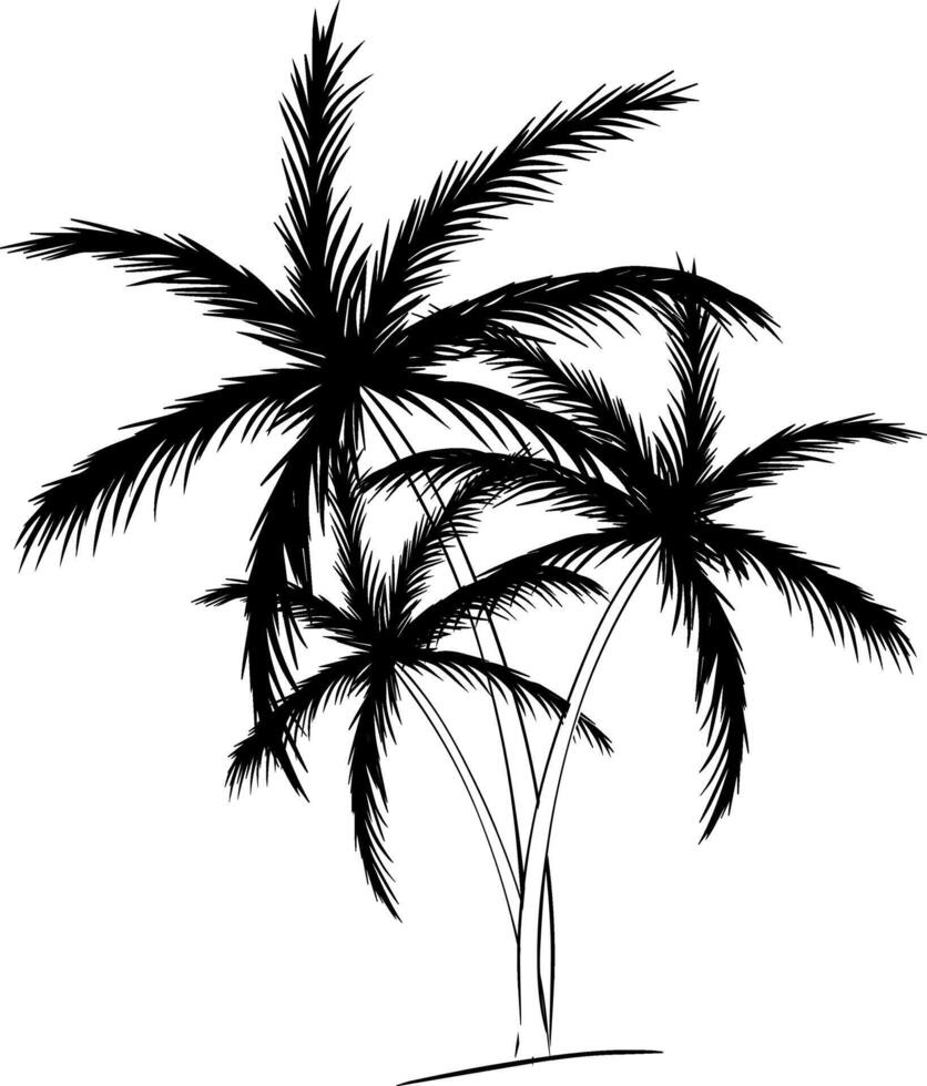 Tree palm tree silhouette composition. graphic line ink illustration. For vacation poster, beach party invitation, backdrop, ad, sale promotion, print for t-shirt vector