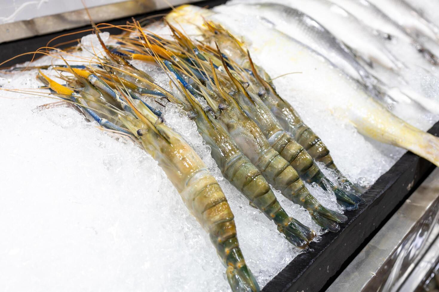 Top view of fresh shrimp in the marketin ice, focus selective photo