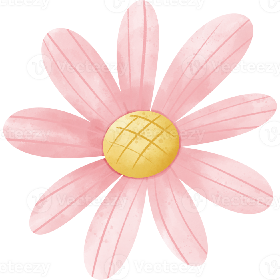 A pink daisy-like flower with a bright yellow center on a transparent background. The petals have delicate veining and a watercolor texture. png
