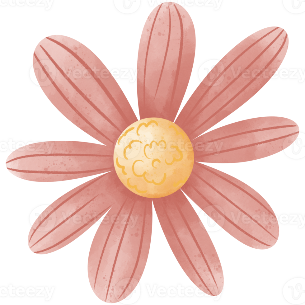 A monochrome watercolor flower illustration with eight light pink petals, with dark pink veins radiating from a golden yellow center. png