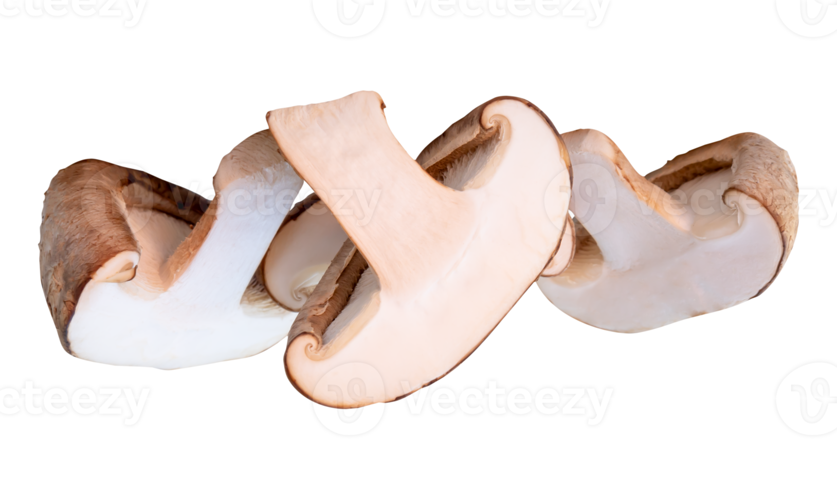 Three halves of shiitake mushroom isolated with clipping path in file format png