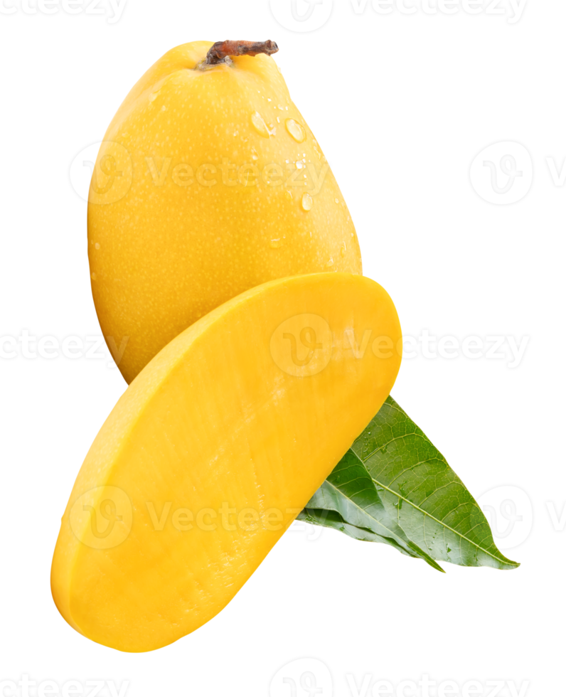 Single ripe mango and half with green leaves and water droplets in cross shape isolated with clipping path in file format png
