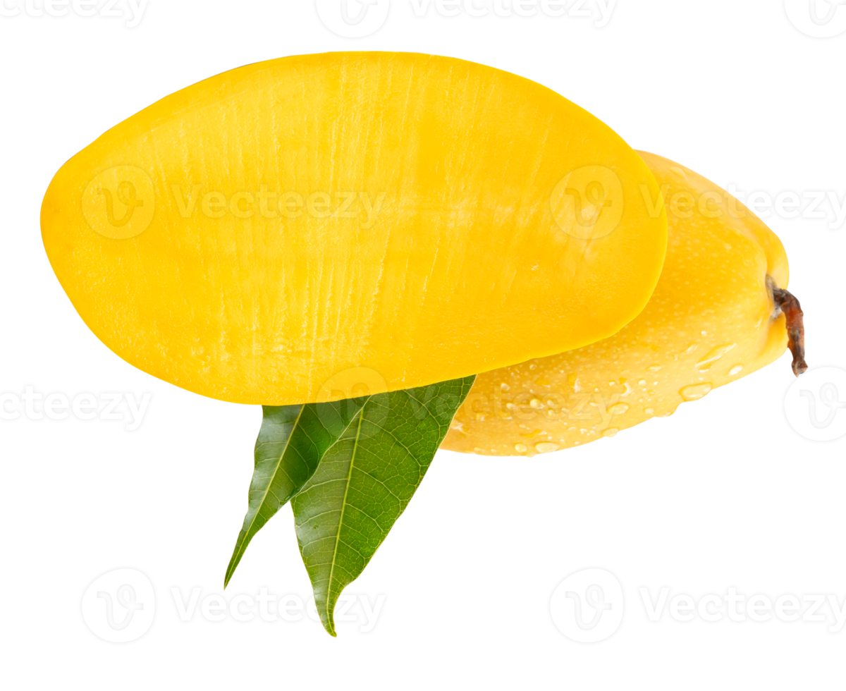 Ripe mango and half with green leaves and water droplets in horizon heap isolated with clipping path in file format png
