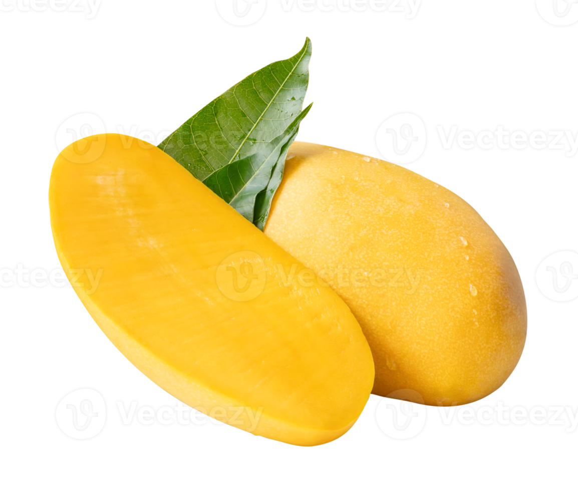 Ripe mango and half with green leaves and water droplets in stack isolated with clipping path in file format png