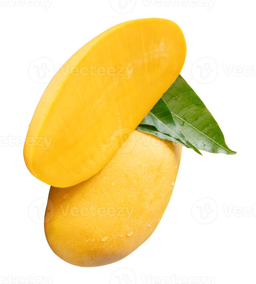 Ripe yellow mango and half with green leaves and water droplets in stack isolated with clipping path in file format png