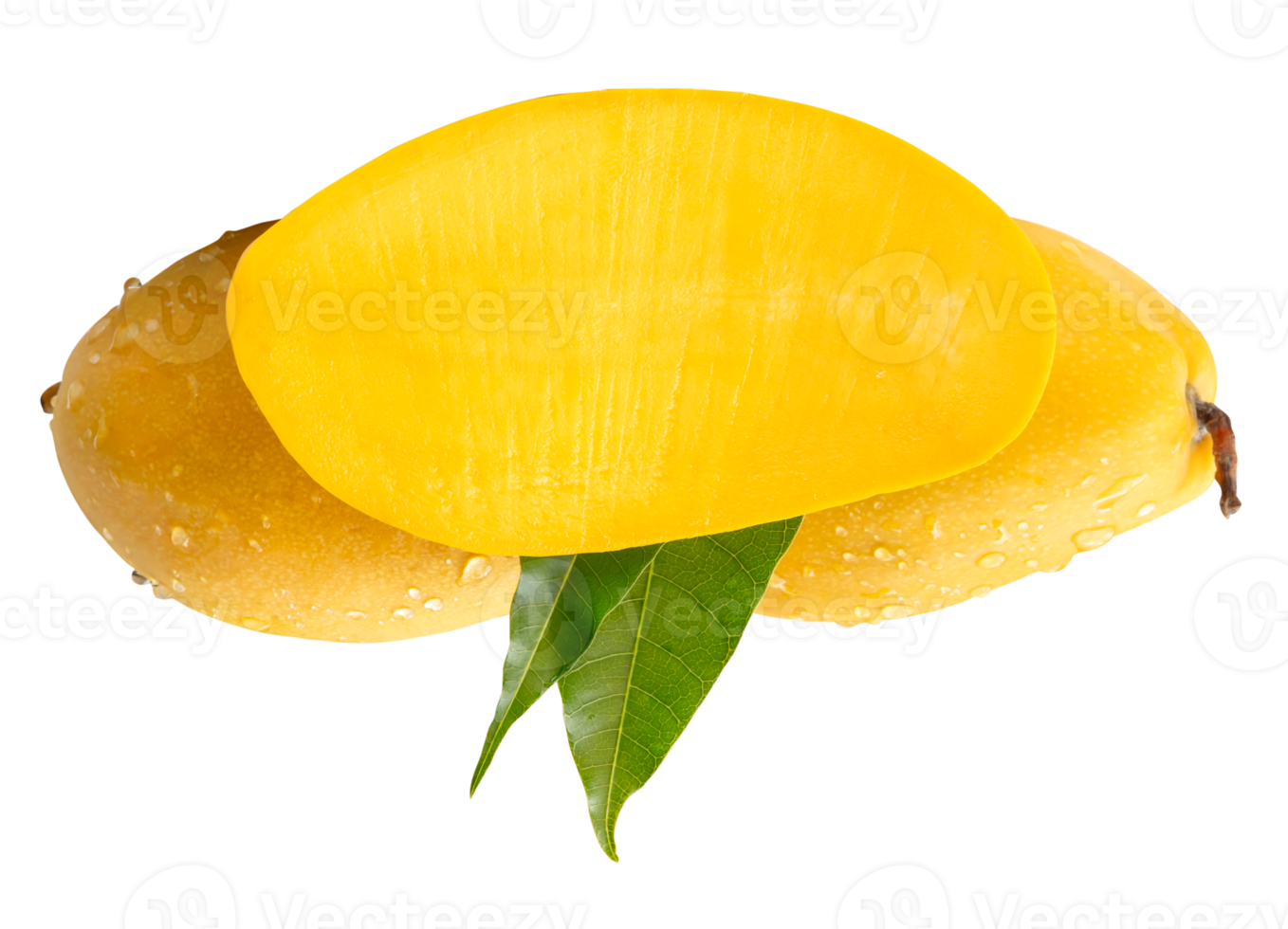 Two ripe mangoes and half with green leaves and water droplets in stack isolated with clipping path in file format png
