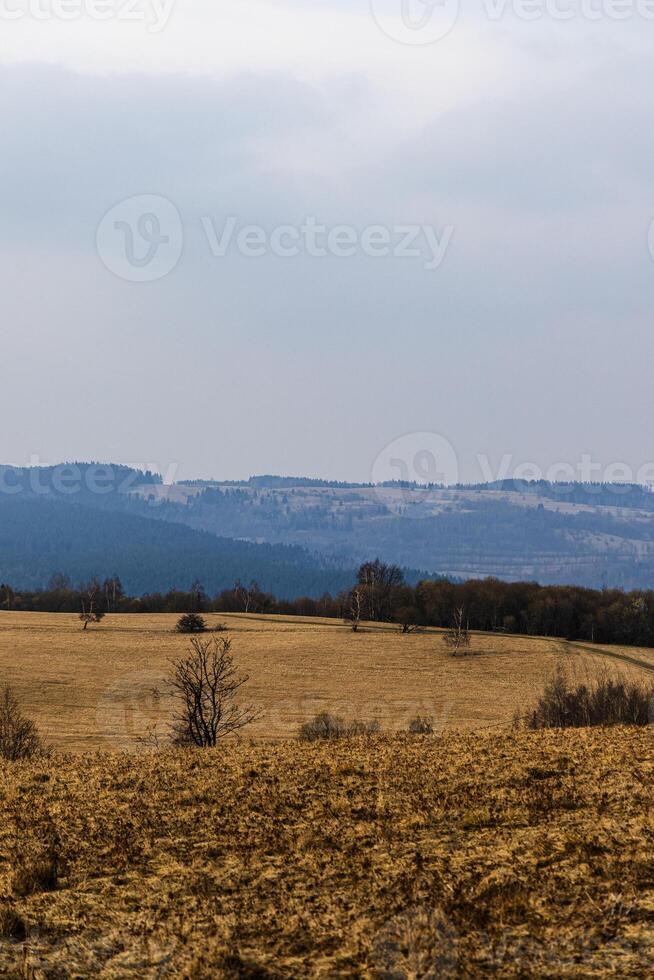 Mountain landscape. Eastern Sudetes on the border of Poland and Czech. photo