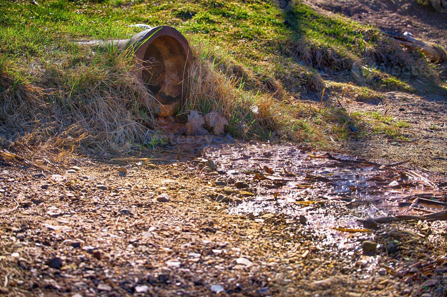 A concrete drainage pipe releases water into a stream, framed by grassy banks and sunlight. photo