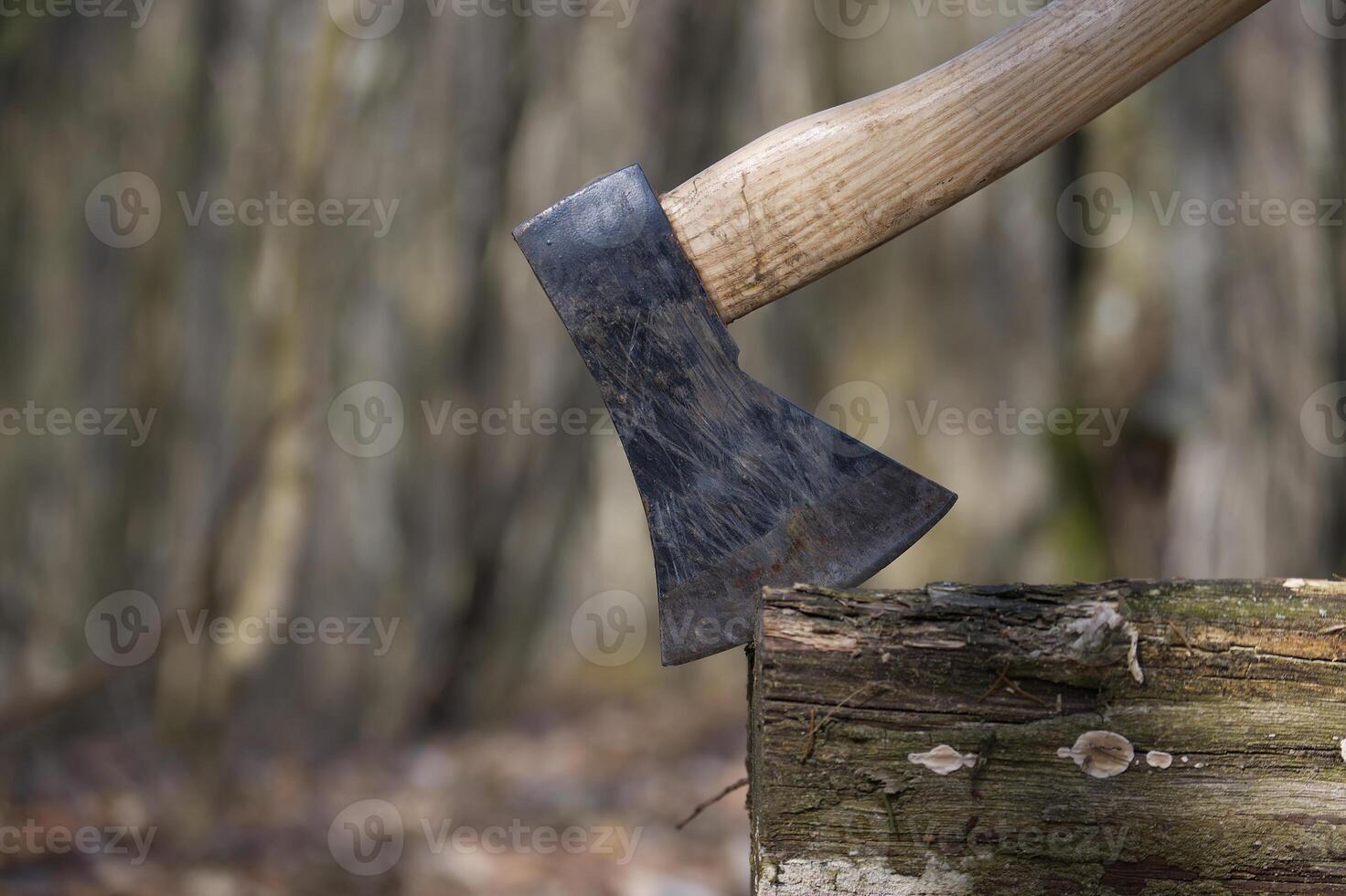 An axe is deeply embedded in a weathered log, set against a blurred forest backdrop. photo