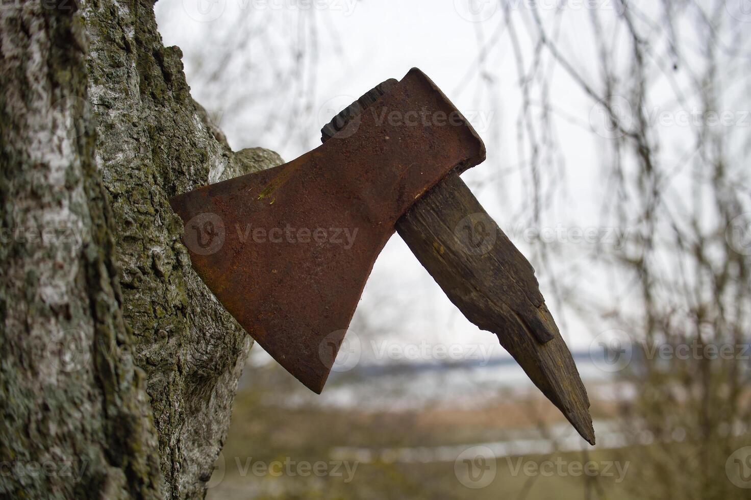 A rusty, old axe with a broken wooden handle stuck in a tree, showing the wear and tear of time. photo