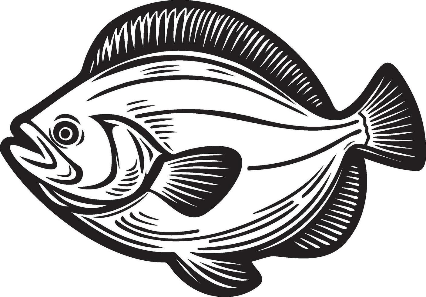 Halibut Fish Illustration. vector