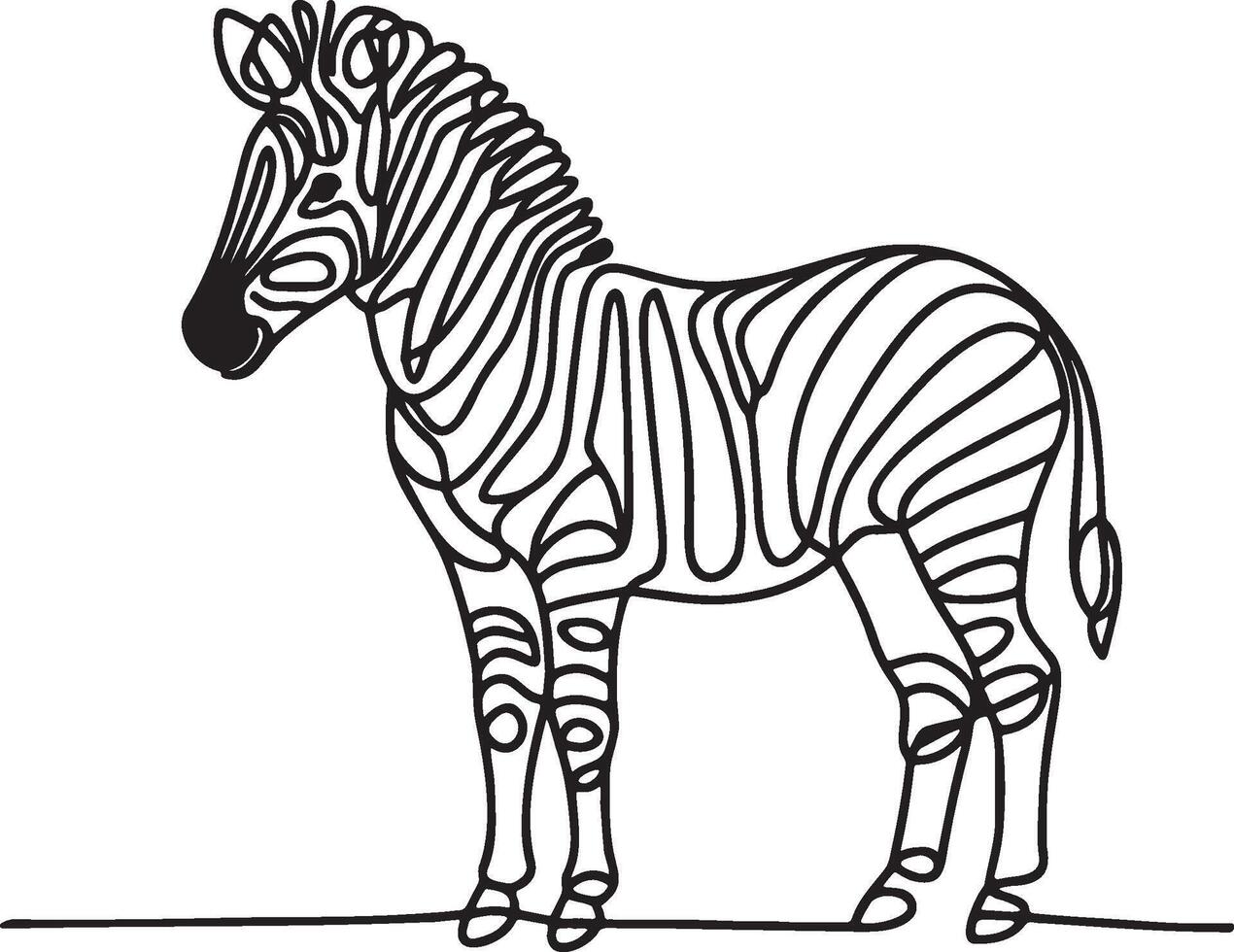 Zebra Line Art. vector