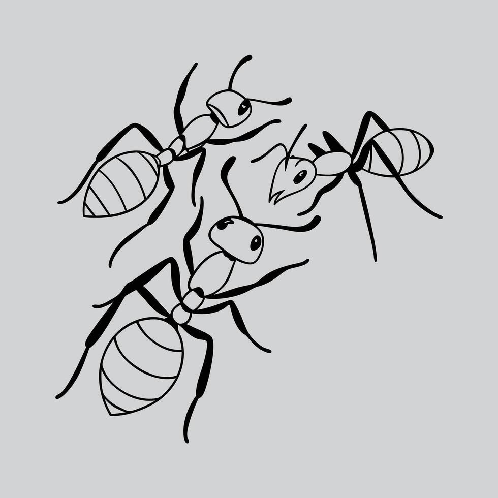 Insect in Ink Ant vector