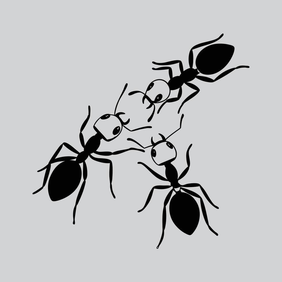 Elegant Crawler Ant vector