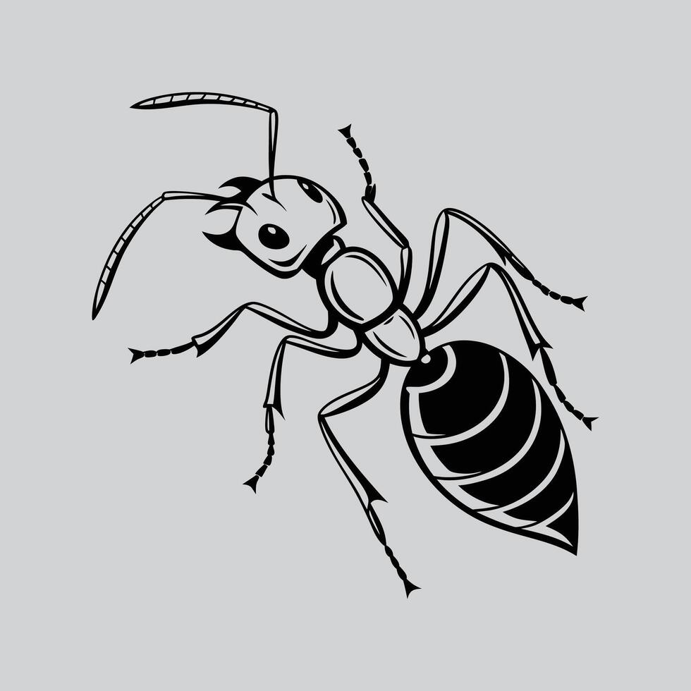 Shadow of the Ant vector