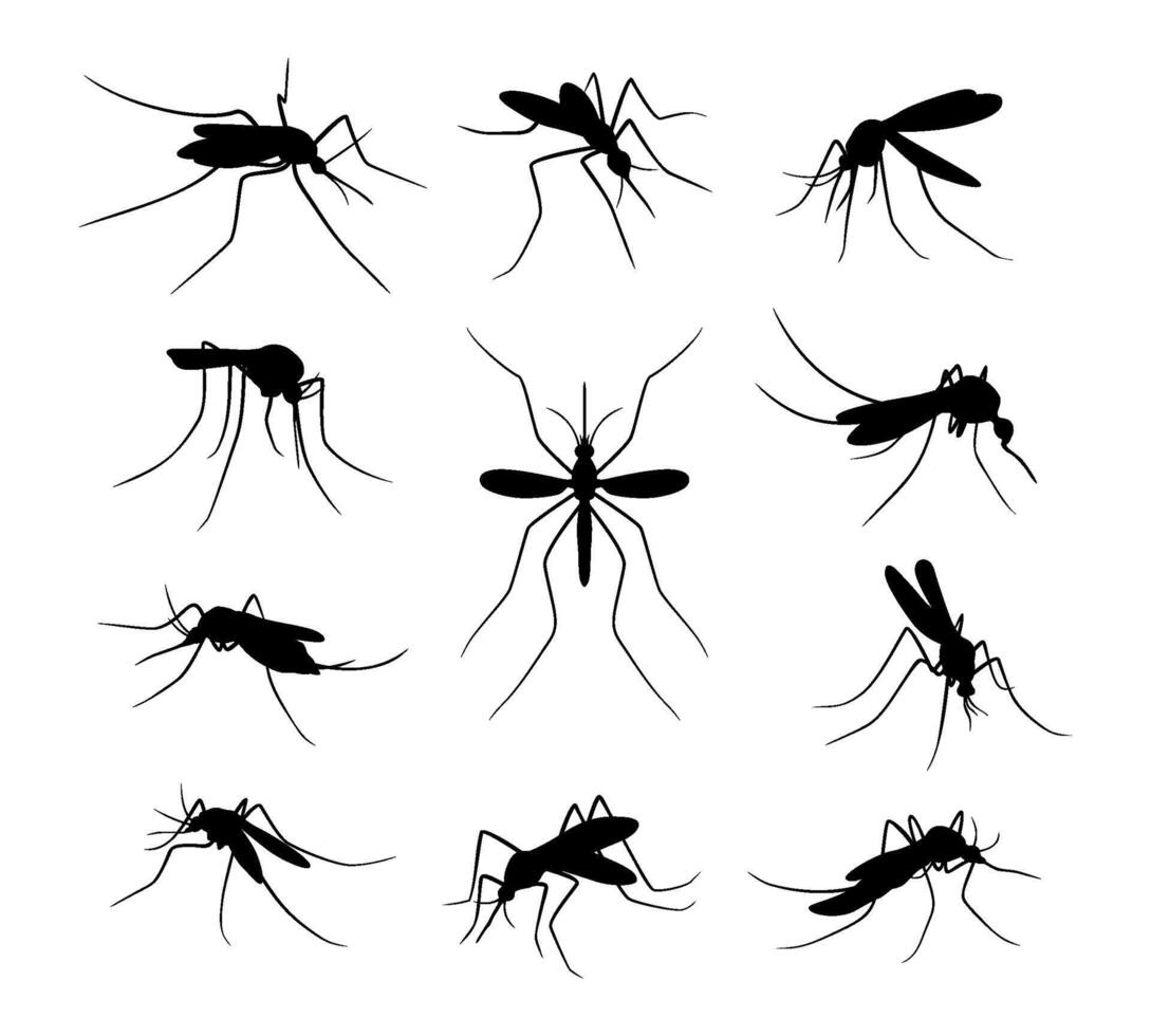 set of mosquito silhouettes isolated vector
