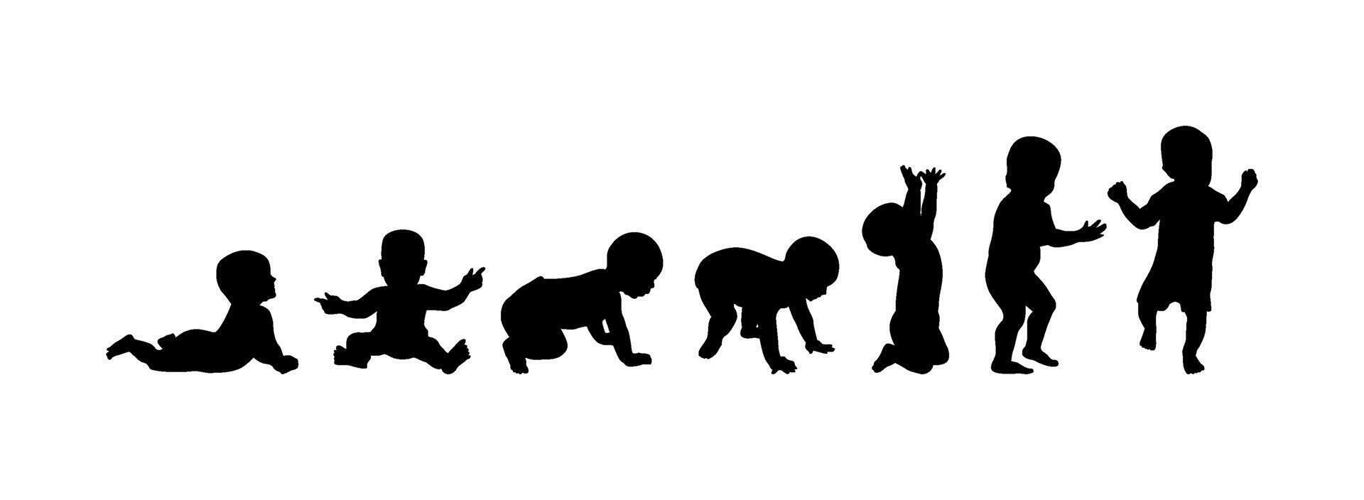 illustration silhouette baby growth image vector
