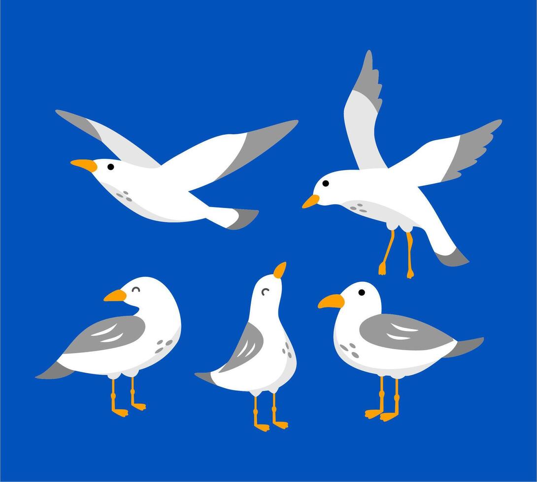 set of cartoon atlantic seabird seagulls vector