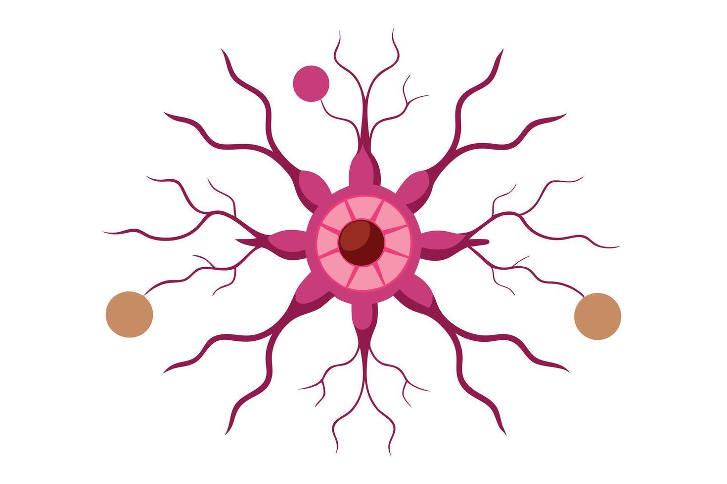 Pink Neuron with Branches and Spheres on White Backdrop, Scientific Depiction vector