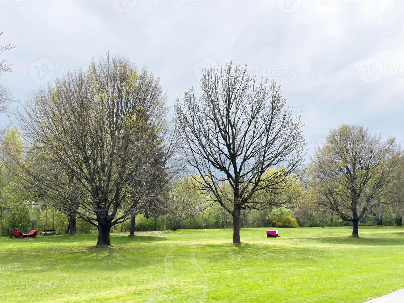 Serene park landscape with leafy trees and red benches on a cloudy day photo