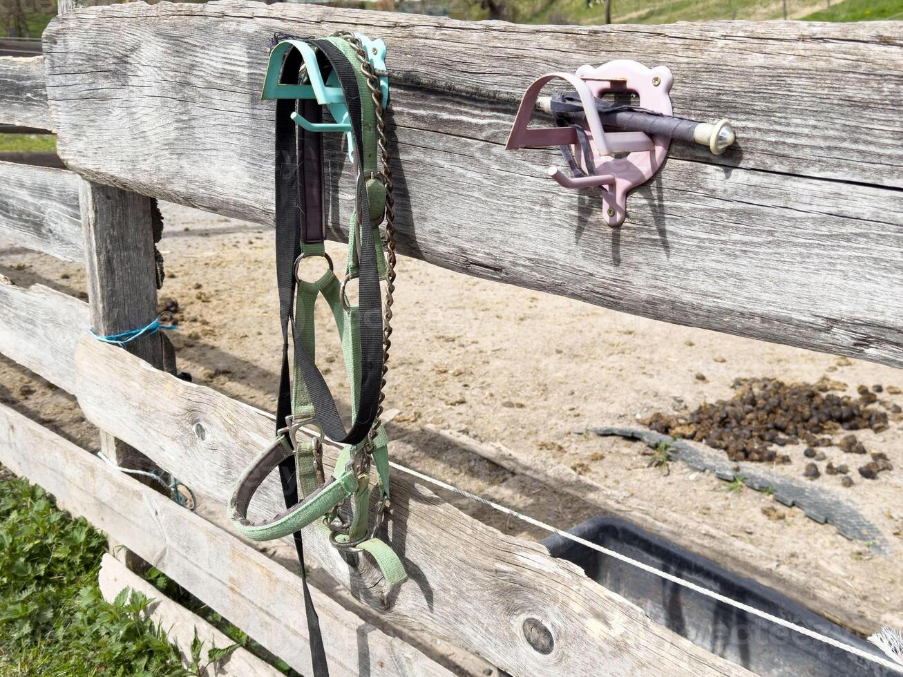 Horse bridle and barn tools on rustic wooden fence in rural farm setting photo