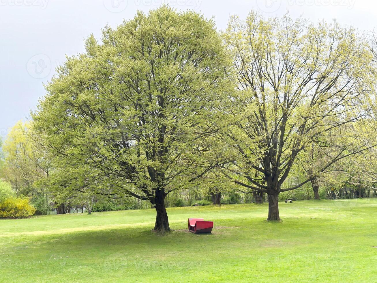 Tranquil park scene with red bench under lush green trees photo