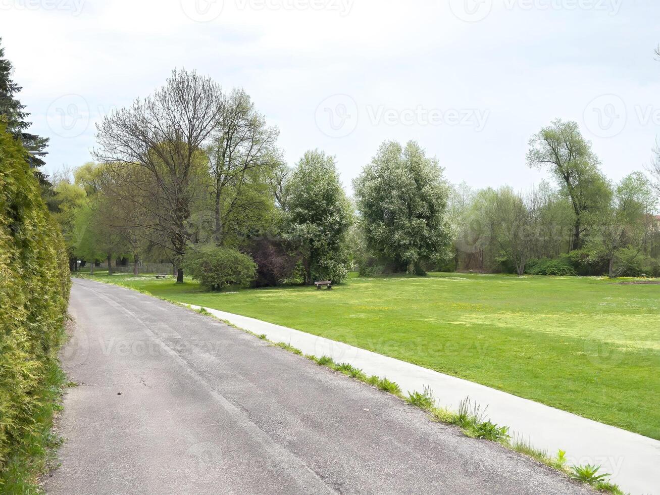 Tranquil park pathway with lush greenery on a cloudy day photo
