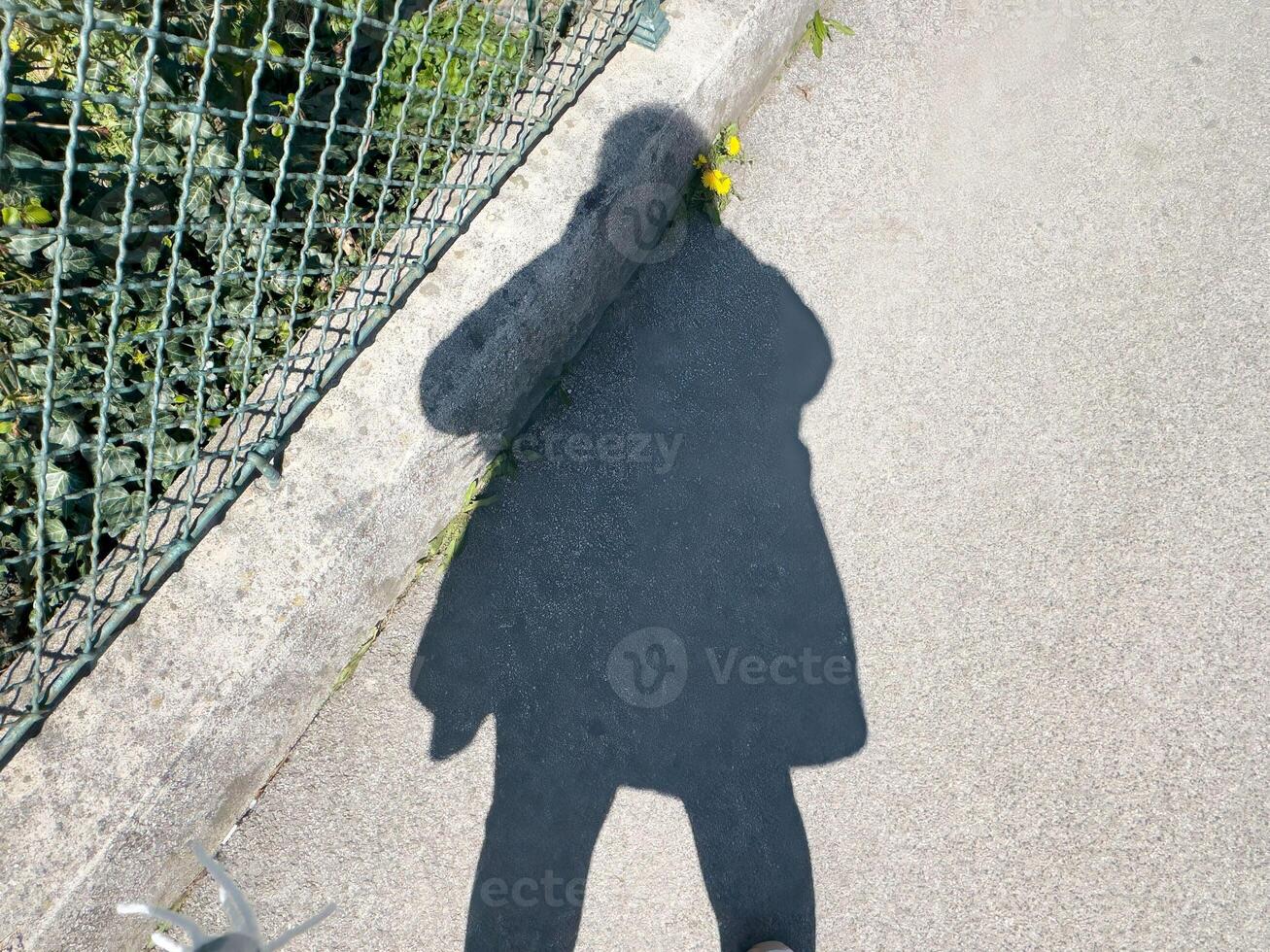 Shadow of a person on sidewalk with fence and yellow flowers on a sunny day photo