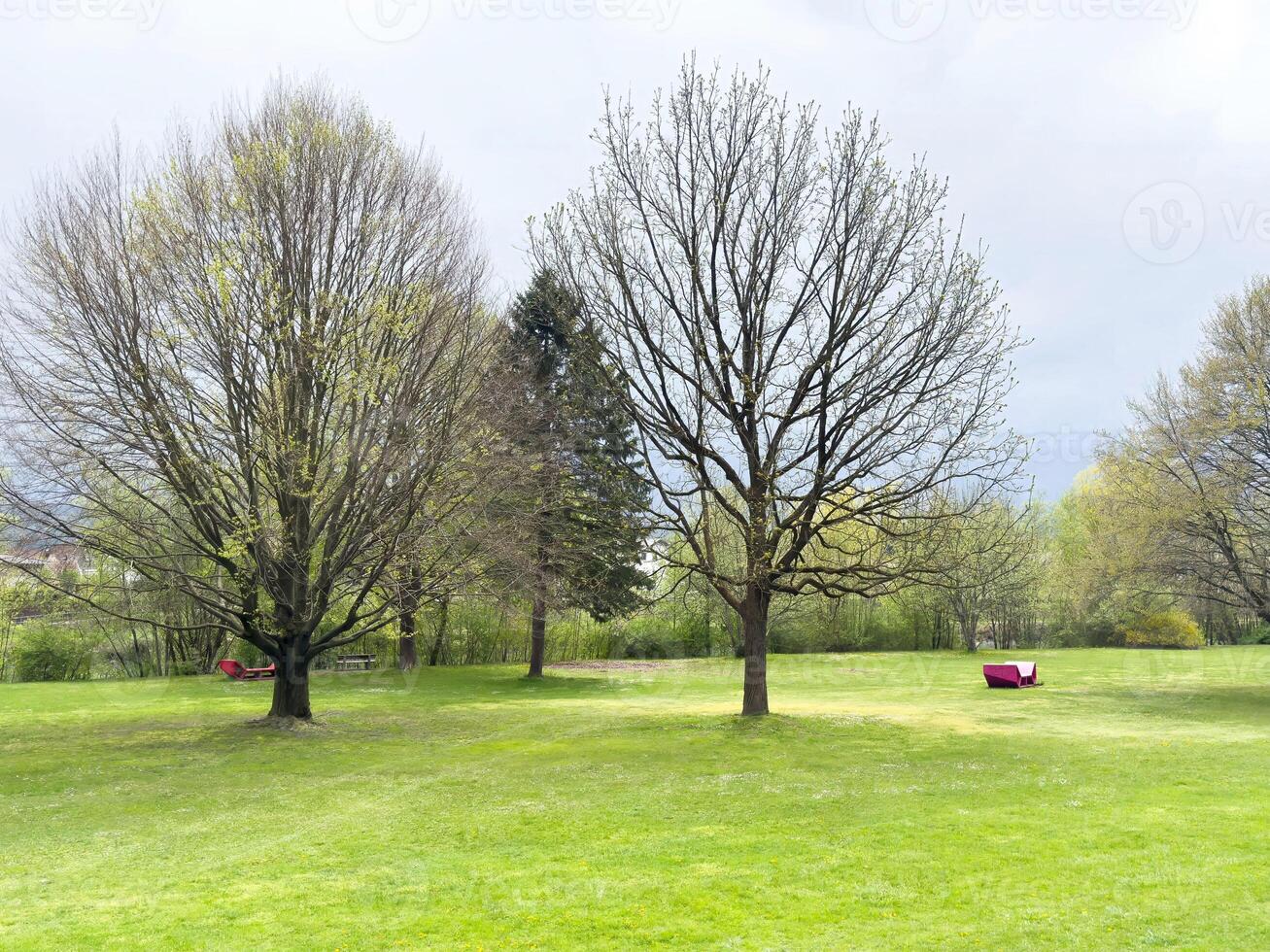 Peaceful park landscape with hammocks and trees in springtime photo