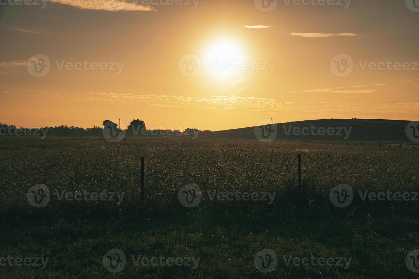 Sunset over a wide field with rolling hills in the background photo