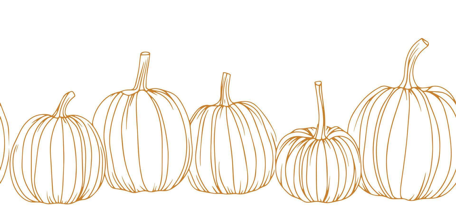 seamless border of pumpkins. autumn illustration for thanksgiving day. sketch style vector
