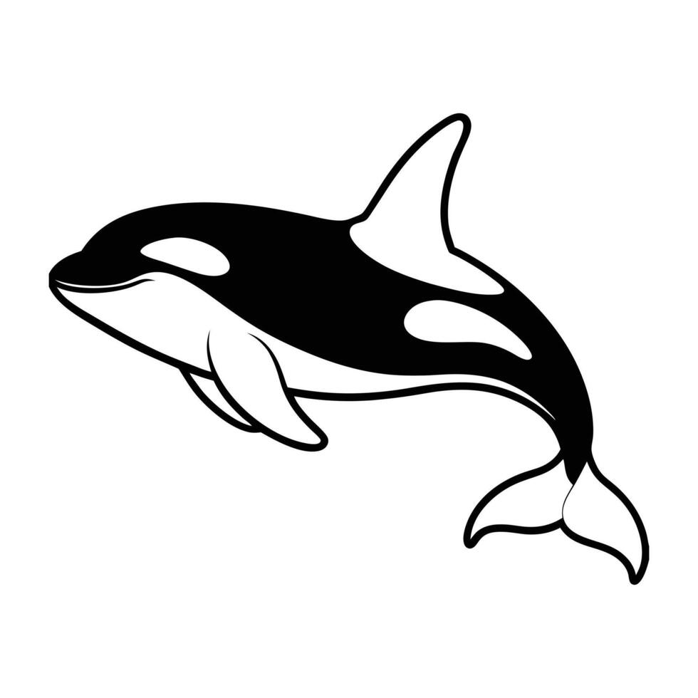 Black and White Orca Whale Illustration Graphic vector