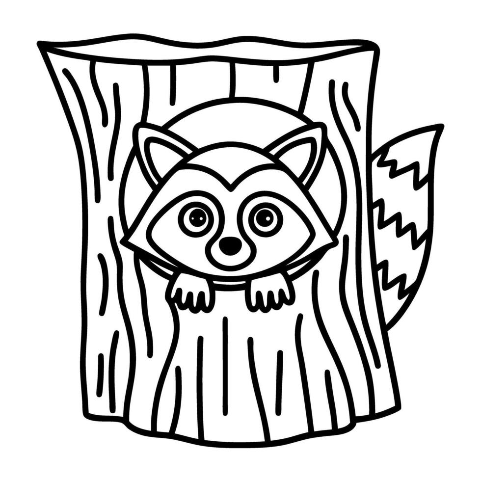 Raccoon illustration in tree hollow, line art design for coloring vector