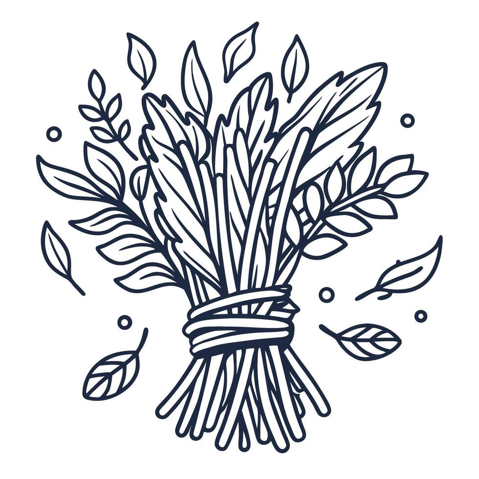 hand drawn foliage bundle organic and natural decor, black and white botanical illustration of leaves vector