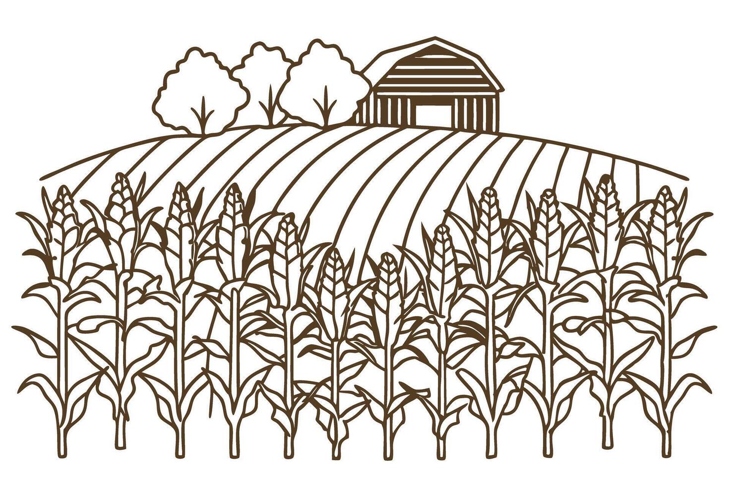 Cornfield with barn and trees in rural landscape line art illustration vector