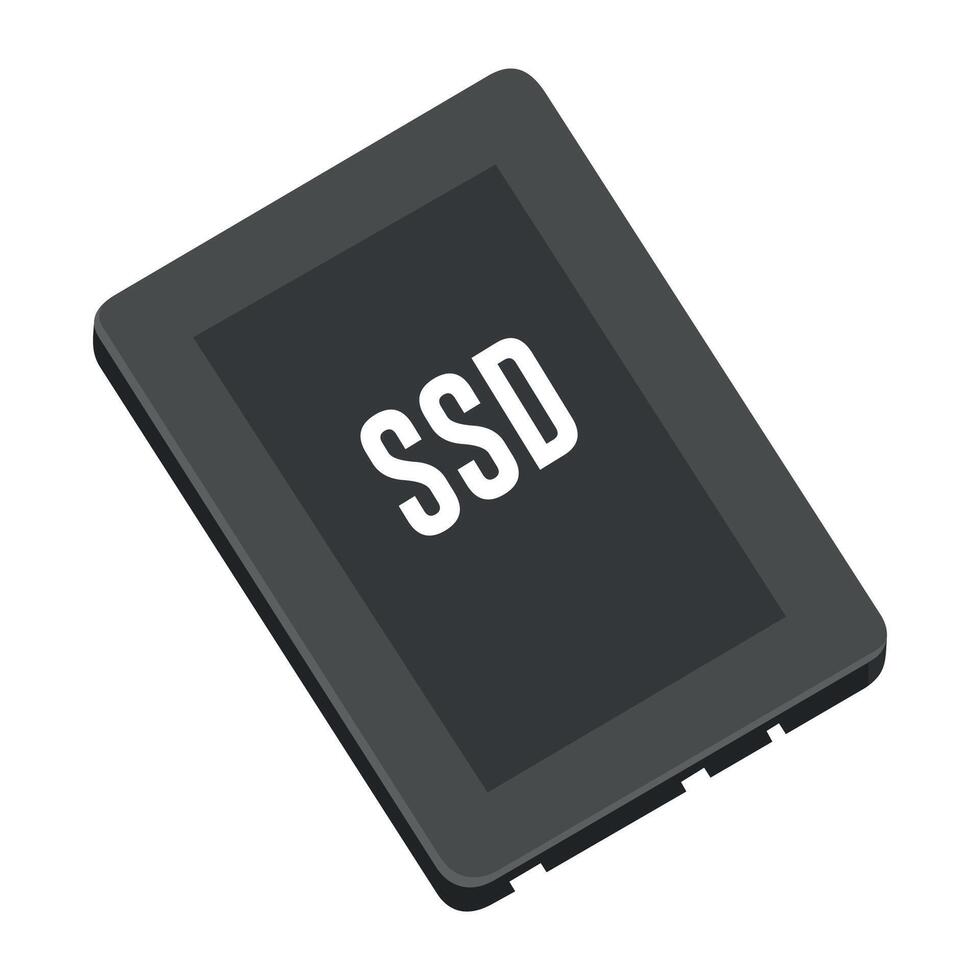 SSD disk icon isolated vector