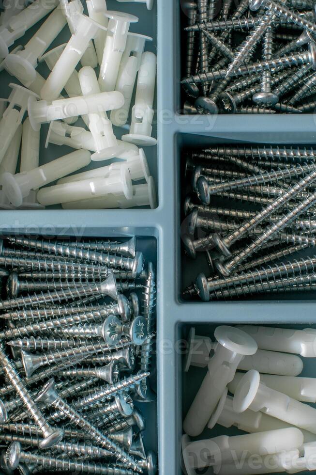 Assorted metal screws and plastic anchors in organizer box, perfect for DIY home improvement, construction, maintenance projects, hardware essentials photo