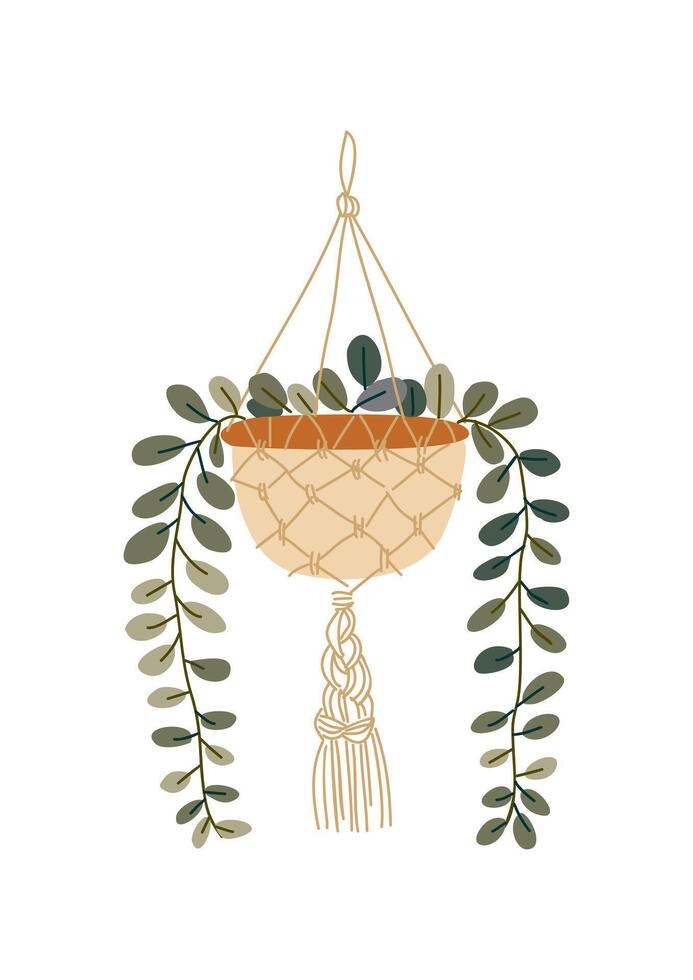 Hanging houseplant in a handmade macrame planter vector